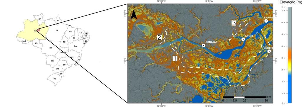 morfologia deposicional das planícies aluviais dos rios Solimões e Purus, previamente definidas nos produtos de sensores remotos, foram analisadas no levantamento de campo realizado no período de 14