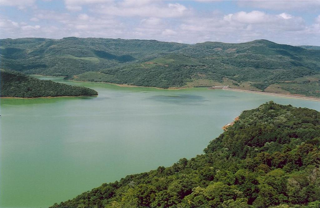 Lago - Proliferação de algas