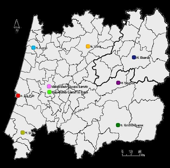 Contexto Regional RN doente Urgências Neonatais Hospital Pediátrico