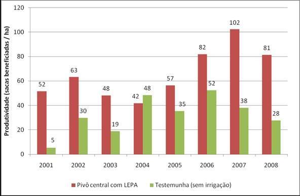 Figura 7 Produtividade do cafeeiro irrigado sob pivô central (plantio circular) e sem irrigação, 8 safras, Fazenda