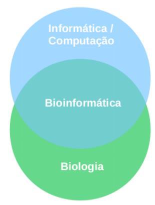 1 O que é Bioinformática?