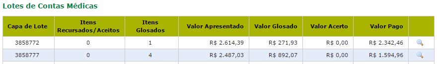 Visualização no sistema Clique no ícone da Lupa do respectivo Lote que