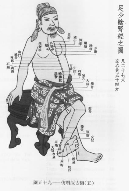 Figura 7: Medicina Tradicional Chinesa e Acupuntura Fonte: site matosinhos, 2010 A acupuntura não se volta diretamente para os agentes agressores externos.