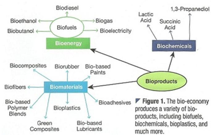 Indústria baseada em biomassa (biobased products) Biocombustíveis 1ª geração: 100 bi l/a; crescimento ~ 10% a.a. Fonte: Reddy et al.