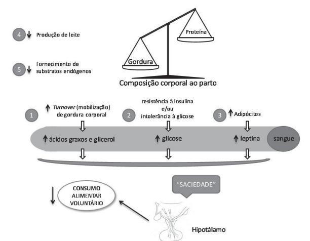 Figura 2.