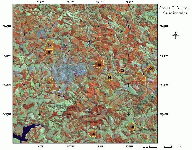 mudanças no desenvolvimento das comunidades vegetais (Batista et al.,1993; Fraser et al., 2000; Hamada, 2000; Volpato, 2002).