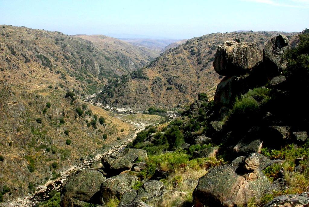 Vale encaixado Escarpas graníticas Habitats rupícolas Faia