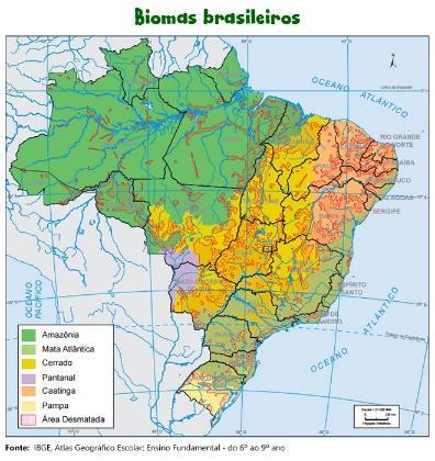 Gabarito 01- Leia: Texto e Mapa de Biomas a) O que é bioma? R: Bioma é formado por ecossistemas e se caracteriza, principalmente, pela vegetação e pelo clima que apresenta.