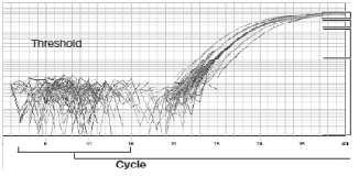Denomina-se Baseline (Figura 6 - a) aos ciclos iniciais, quando o sinal é fraco e não pode ser diferenciado do ruído de fundo (background) (Figura 6 - b) que é referente à fluorescência inespecífica
