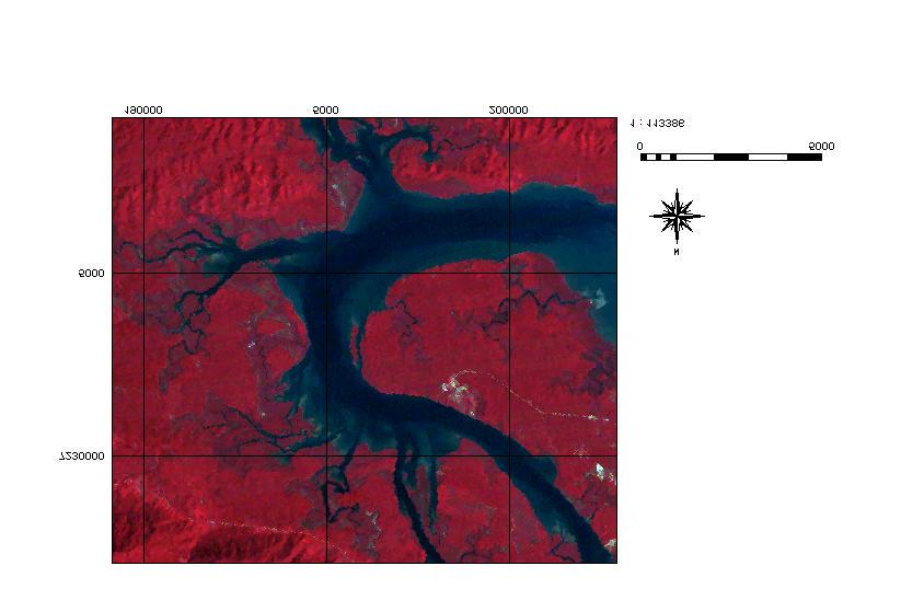 baixio manguezal baixio Figura 22: Detalhe da área de estudo, mostrando a região da Baía de Trapandé.