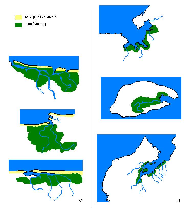 Figura 4: Esquema de ambientes geomorfológicos dominados por ondas (A) e Ambientes