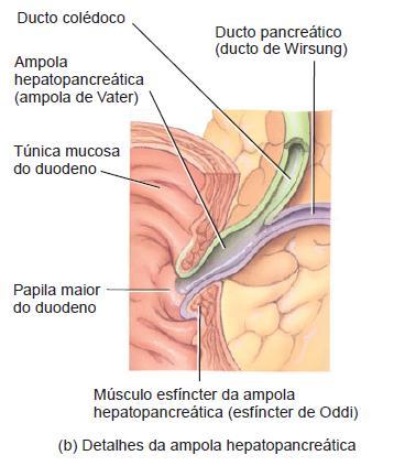 Canais da