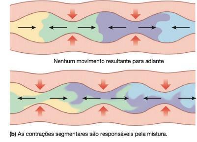 CONTRAÇÕES