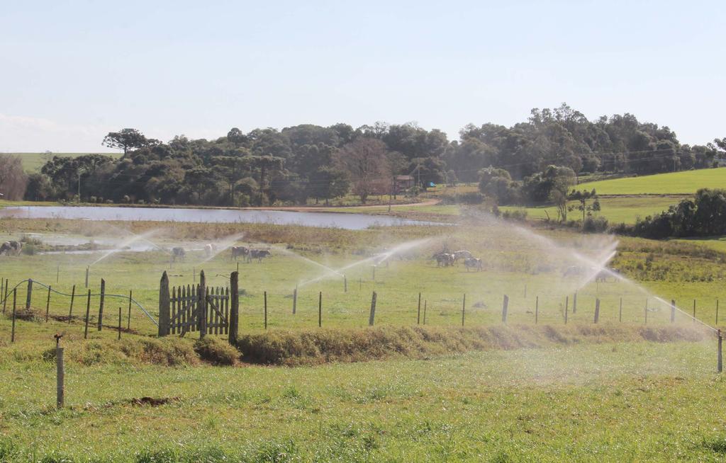 Com esta questão em mente, o médico veterinário e produtor do município de Gentil, Cassiano Pressi, investiu em um sistema de irrigação.