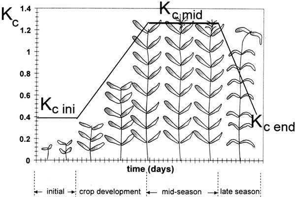 Evapotranspiração Real da cultura Percentagem de redução de ET com a umidade do solo (Ks) Etr é a evapotranspiração nas mesmas condições de contorno de ETc,