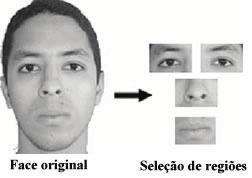 Figura 4. Seleção de regiões para 4 (quatro) imagens. Para cada região da face possui dimensionalidade padronizada de forma que cada região possua a mesma dimensionalidade.