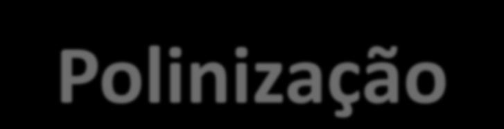 Polinização Nas angiospermas, a polinização corresponde ao transporte de grãos de pólen da antera até o estigma da mesma flor ou de outra flor da mesma espécie Agentes