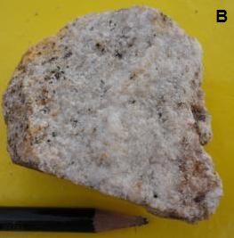 O hornblenda-biotita gnaisse possui granulometria média a grossa, estrutura foliada marcada pela orientação dos planos da biotita (Figura 2.3.A).