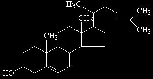 Glicolipídeos) fosfato glicerol 2 ácidos graxos