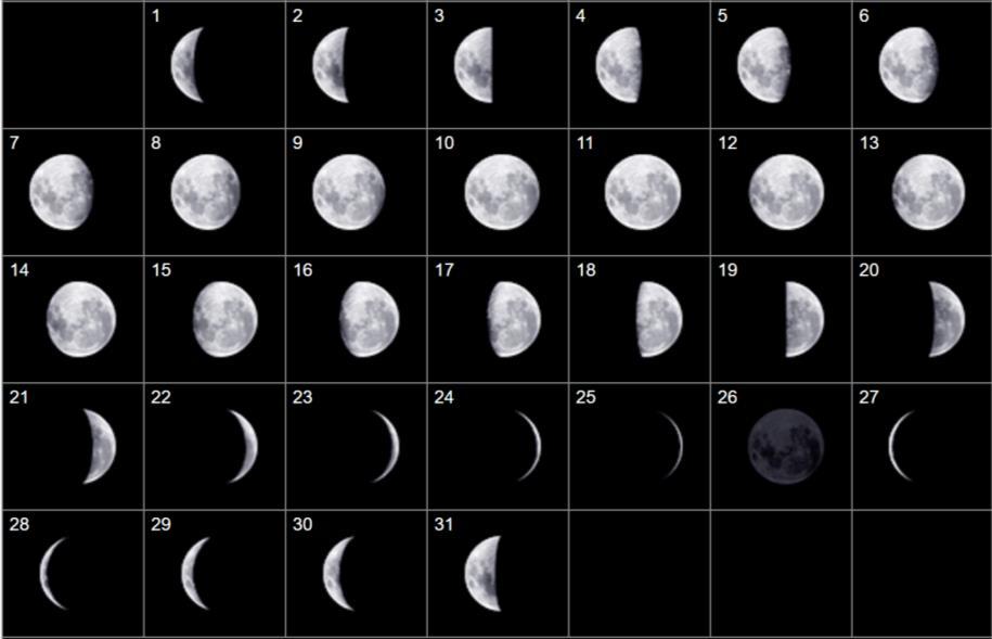 Questão 5) (1 ponto) Como você sabe, a cada dia a Lua tem uma aparência (fase). Abaixo temos 31 imagens sequenciais da Lua como vista do Hemisfério Sul.