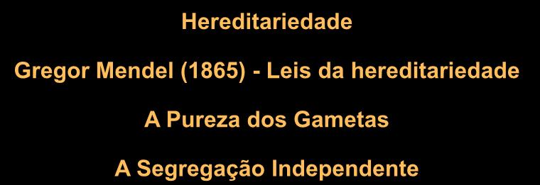 hereditariedade A Pureza