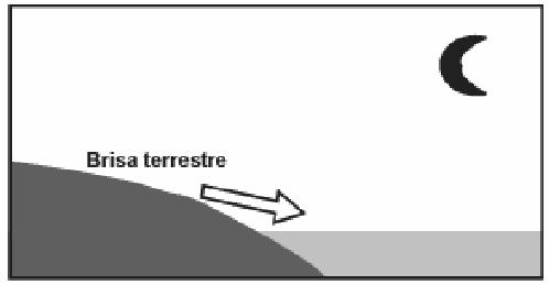 Como a água leva mais tempo para esquentar (de dia), mas também leva mais tempo para esfriar (à noite), o fenômeno noturno (brisa terrestre) pode ser explicado da seguinte maneira: A) O ar que está