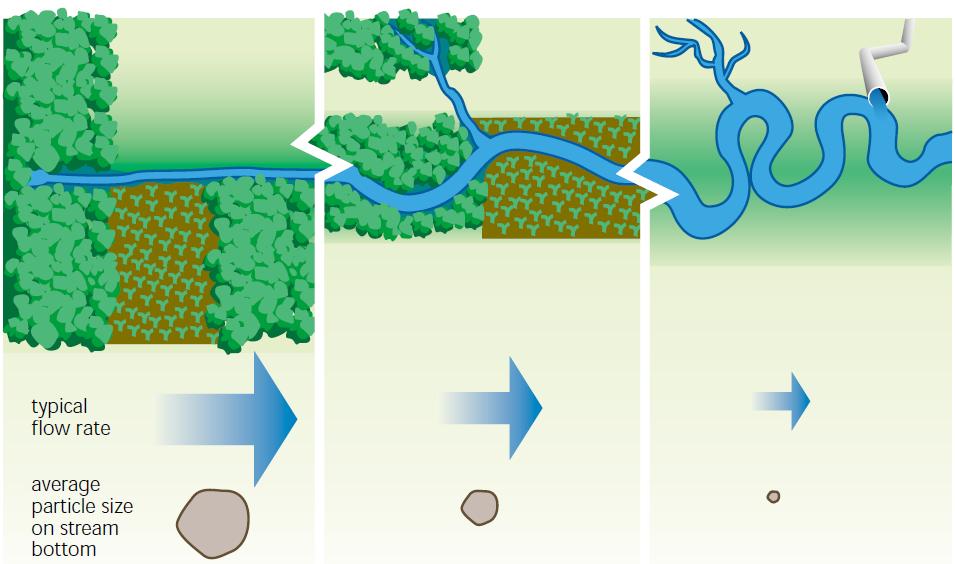 Próximos passos Protocolos de avaliação rápida Medições sedimentométricas Coletas de informações em campo Métricas Informações qualitativas do