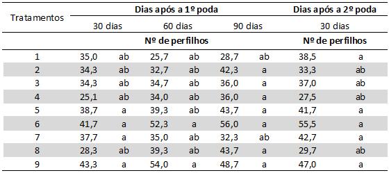 Tabela 2. Dados do perfilhamento do capim vetiver após a primeira e segunda poda.