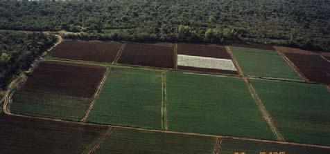 e venda de propriedades A BrasilAgro pretende introduzir o bem-sucedido modelo de negócios da Cresud no