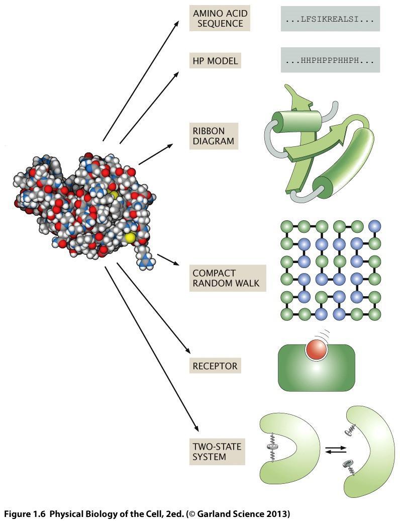 Proteínas