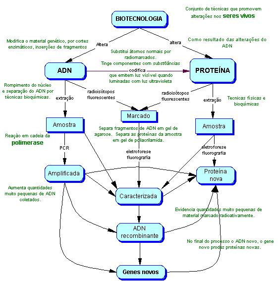 Estratégias de Ensino e Aprendizagem Utilizadas na Disciplina Biotecnologia reconciliações integrativas, auxiliando os alunos a compreenderem que o conhecimento se representa por