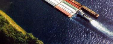 viabilizar cargas em navios transatlânticos e exportações diretas ao mercado externo.
