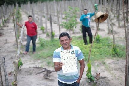 Amazonas, Pará, Mato Grosso e Amapá TERMOS