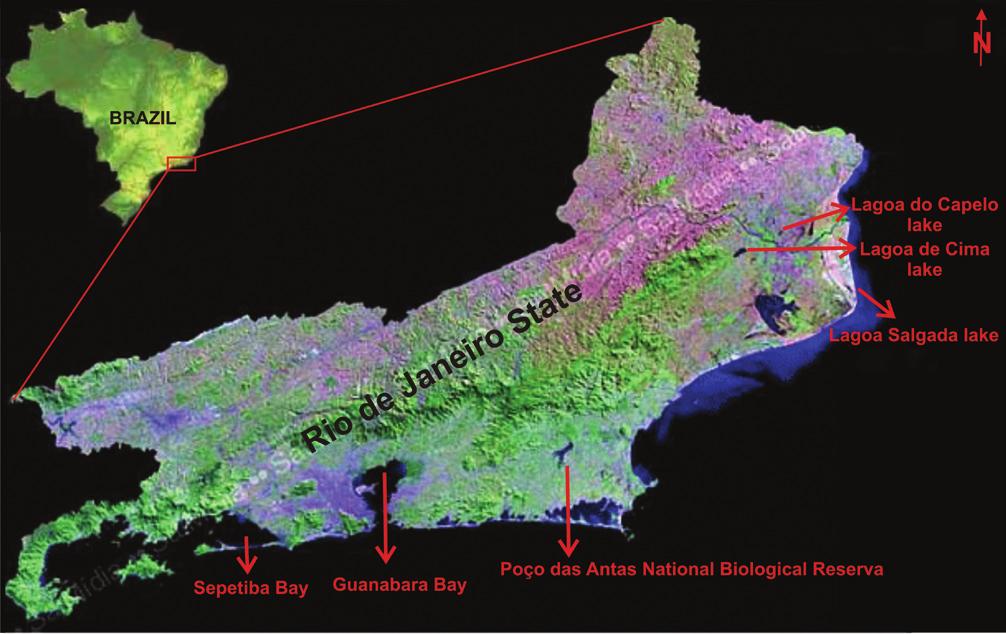 Figure 2 Map of the state of Rio de Janeiro pointing out coastal localities where pollen analysis of Quaternary sediments was realized. 4 References Amador, E.S. 1997.