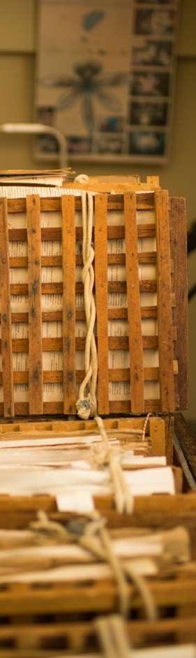 Foto: Joaquim Prado É prático colocar a amostra em jornal apenas entre dois papelões e estes entre os dois lados da prensa de madeira, fazer uma pequena pressão e amarrar com a corda ou cinta.