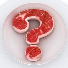 Vamos revisar!! Quais os principais componentes na composição da carne?? Quais as classificações das proteínas?