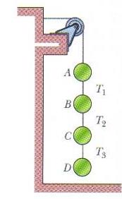 está presa. As tensões nas cordas mais curtas são T 1 = 58, 8N, T 2 = 49, 0N e T 3 = 9, 8N. Quais são as massas (a) do disco A, (b) do disco B, (c) do disco C e (d) do disco D.
