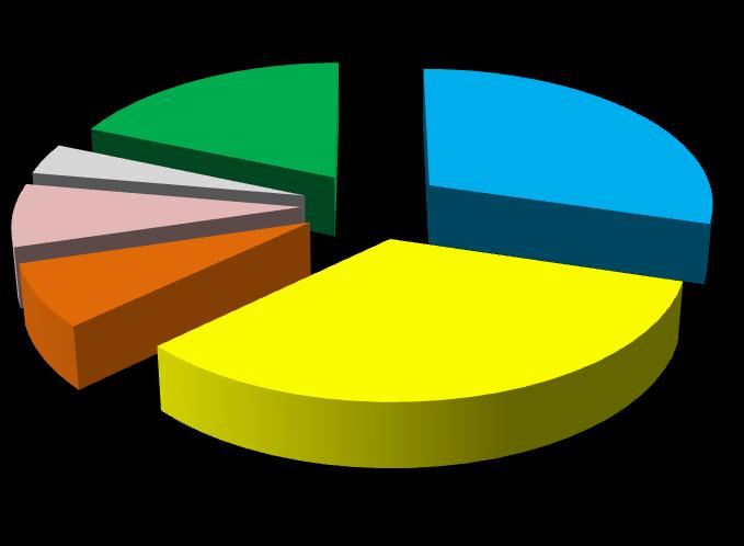 Que tipo de promoção/ publicidade fez % Vitrine atrativa 30% Descontos 33% Prazos para pagamento 7% Bom atendimento 7% Variedade de