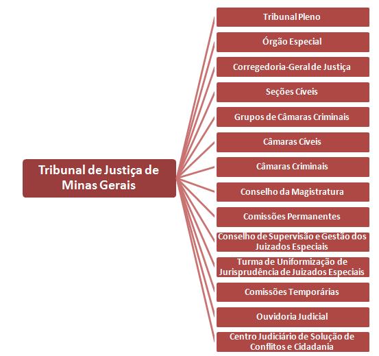 ORGANIZAÇÃO E