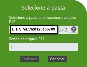 Informe a senha que protegerá a cópia do certificado A1.