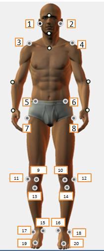 quantificação de possíveis alterações posturais por meio da digitalização de imagens.