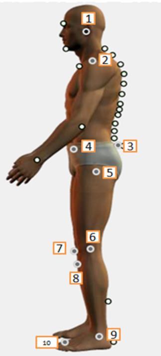 Figura 4: Representação dos pontos anatômicos (numerados) que foram demarcados no participante na vista lateral esquerda.