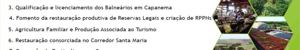 econômicas baseadas em