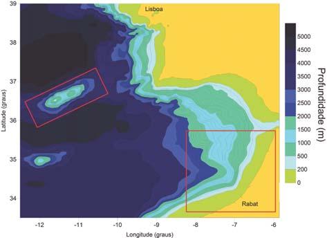 Em Destaque Um oásis no meio do oceano o banco submarino Gorringe Erguendo-se por vezes alguns quilómetros acima do fundo oceânico, os montes submarinos alteram de forma significativa as condições