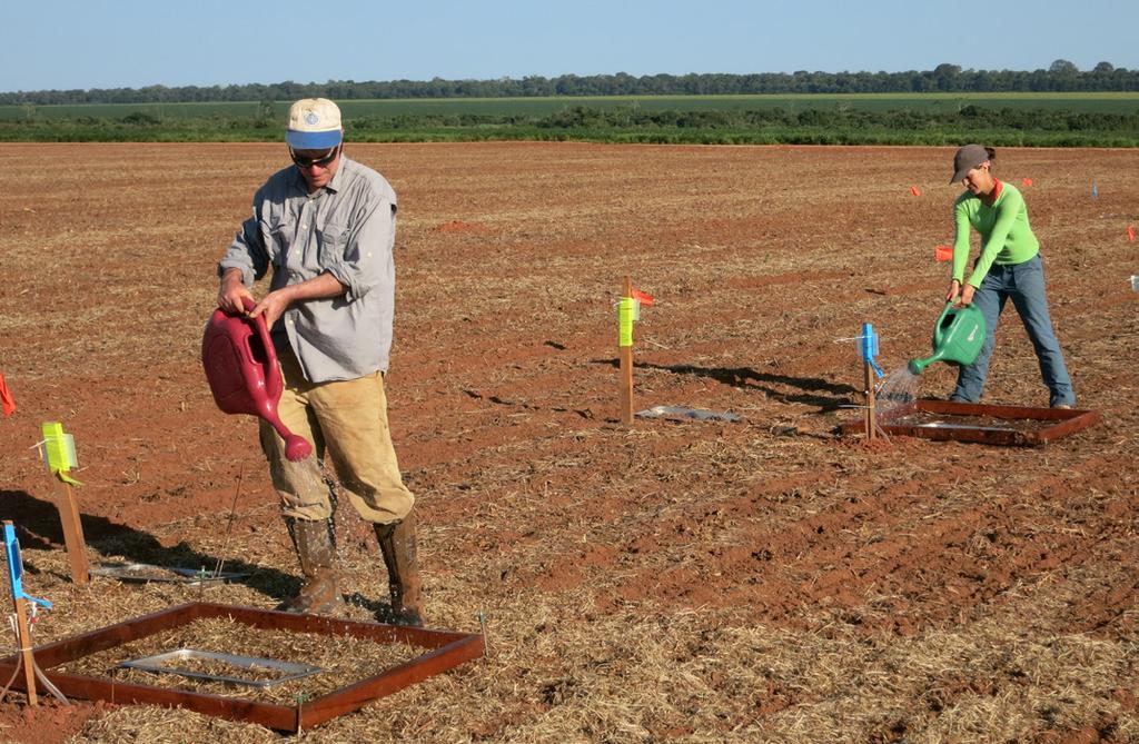 Estudos analisam os efeitos das mudanças de uso da terra Teses internacionais utilizam a Fazenda Tanguro como campo experimental Duas teses recém-publicadas comparam os tipos de produção e manejo