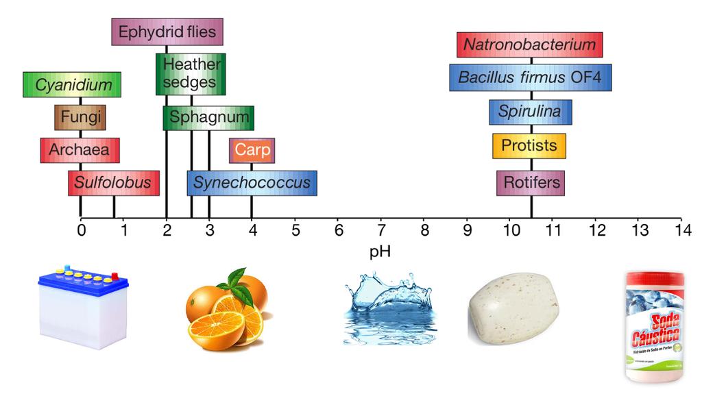 Ph Extremófilos em