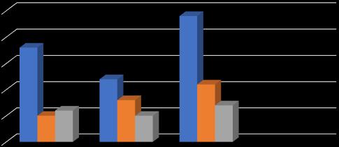 Tabela 1: Distribuição do número de acompanhantes de acordo com o grau parentesco no período de 60 dias.