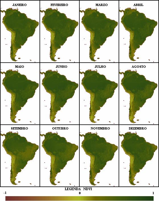 Figura 1 NDVI mensal do continente sudamericano As imagens da Figura 1, não mostram toda sua informação, pela sua redução para fins de apresentação do presente documento pelo que animações em imagens