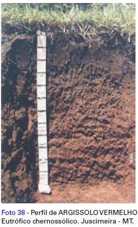 Horizonte Chernozêmico - Horizonte superficial apresentando-se espesso, de cor escura, alta saturação por bases, (V%) 65%, com