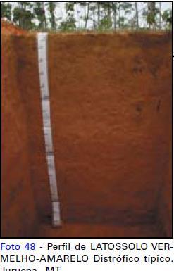 Horizonte diagnóstico de subsuperfície É utilizado para classificar o solo porque sofre pouca ou nenhuma influência do manejo, sendo que o horizonte B é considerado diagnóstico de subsuperfície